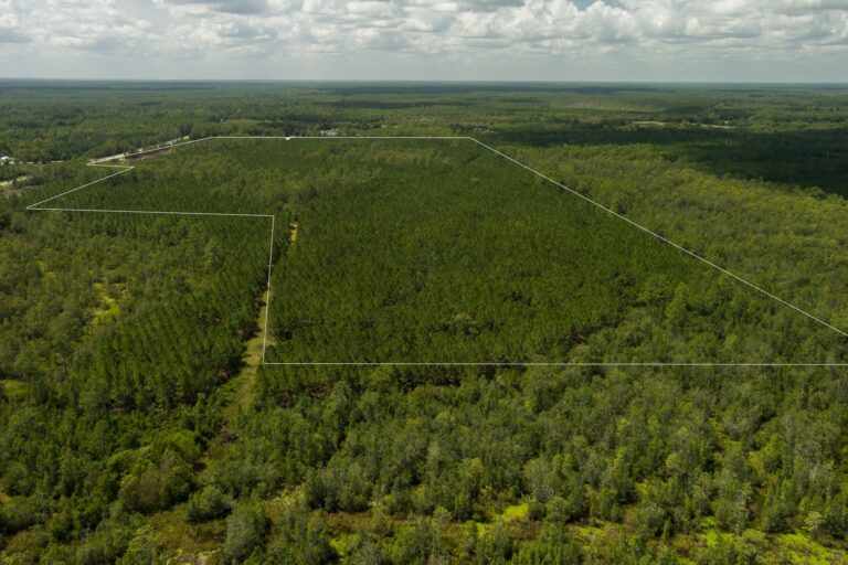 NWCR225WSR100StarkBradford_00728000000_00766000000_19_mls