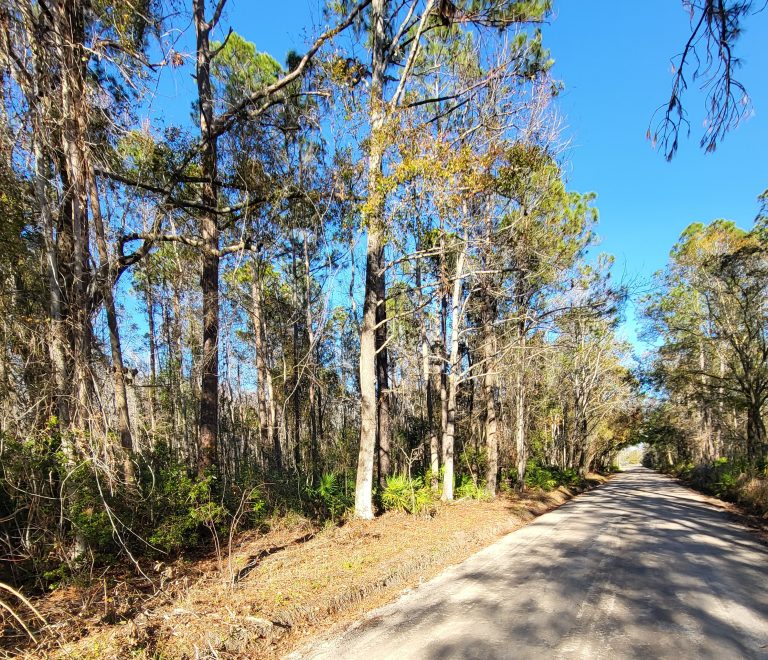 Triple Run Rd Photo 2 (1)