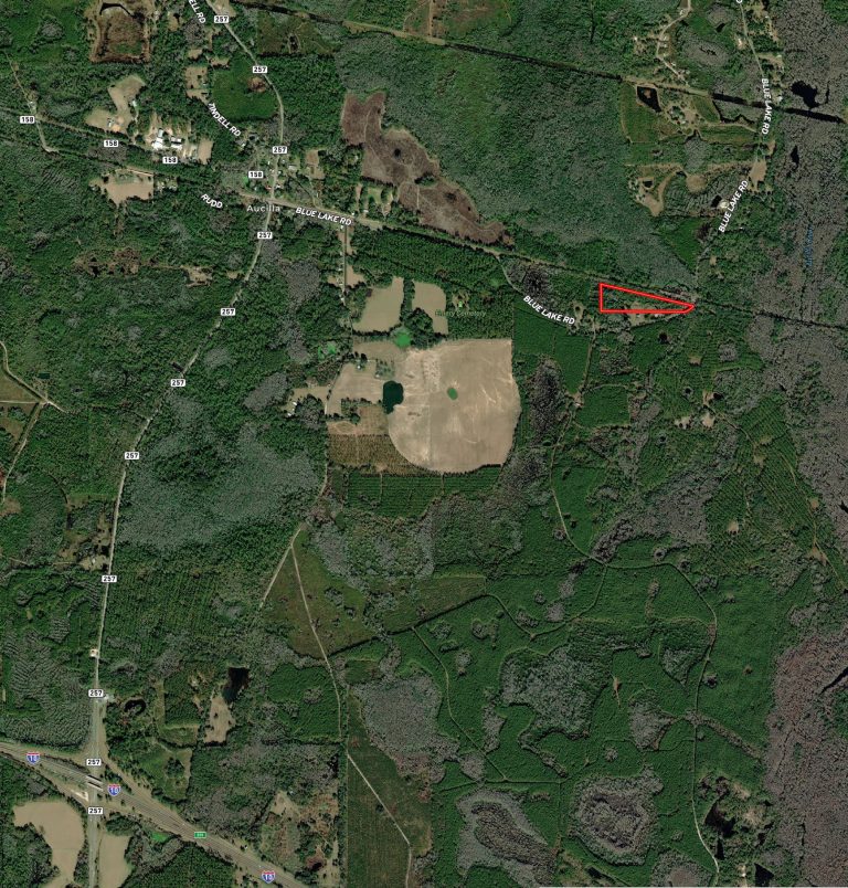 far aerial blue lake rd 11ac (2)