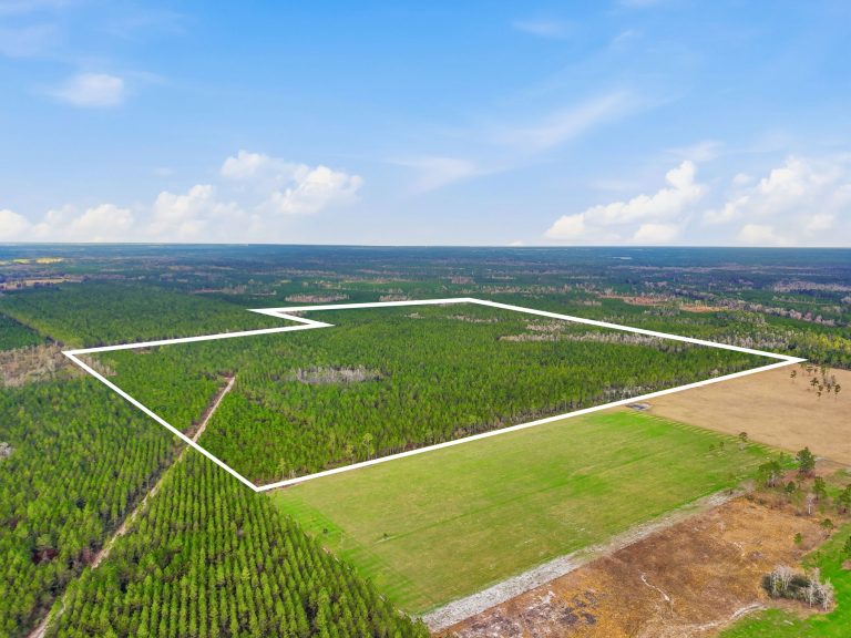 streicher-1-15-shoot-2-copy_WEBISTE