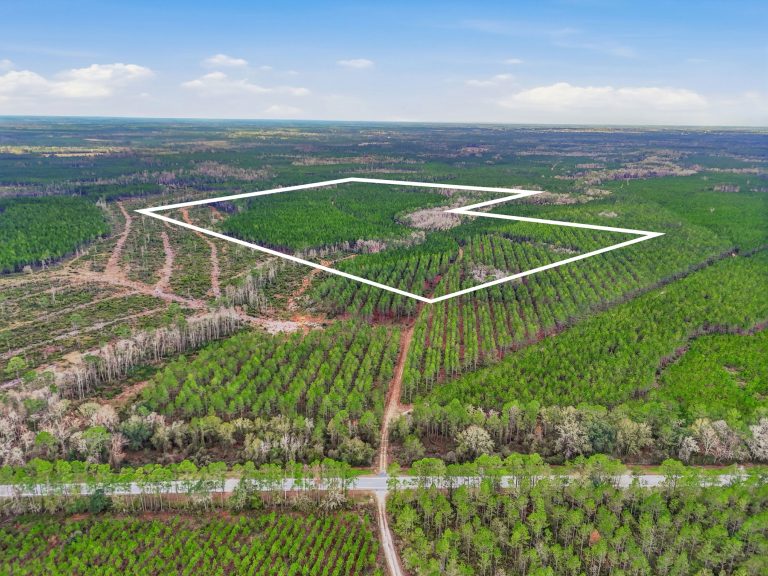 streicher-1-15-shoot-3-copy-WEBISTE