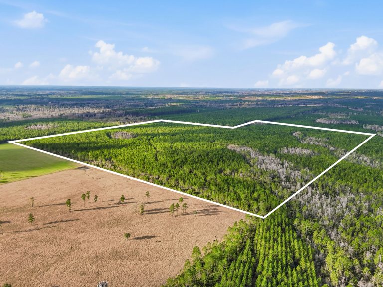 streicher-1-15-shoot-WEBSITE